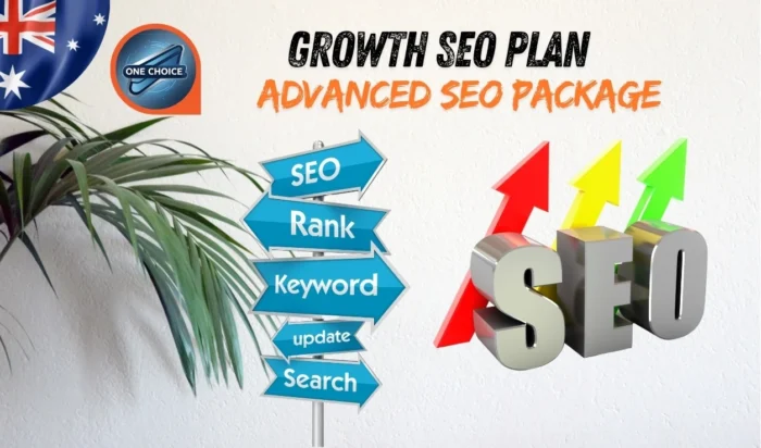 Advanced SEO Package Perfect for Start up and Small Businesses