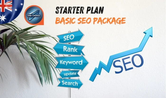 Basic SEO Package Perfect for Start up and Small Businesses