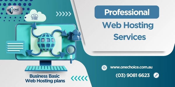 Business Basic Web Hosting plans
