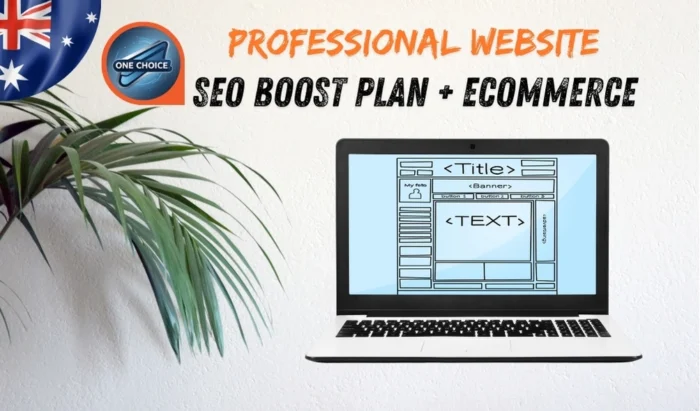 Professionally designed website SEO Boost Plan and eCommerce